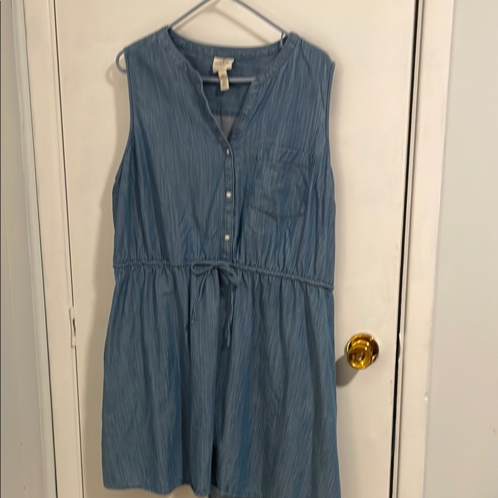 Sleeveless Blue Button-Down Dress